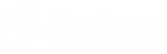 Basharaskin